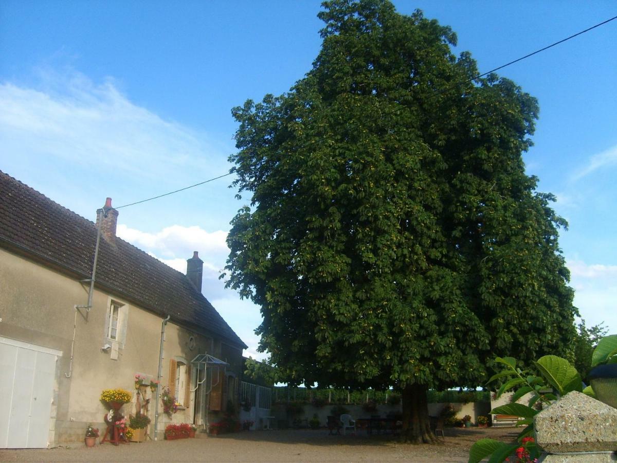 Bed and Breakfast Armalou Pouilly-sur-Loire Zewnętrze zdjęcie
