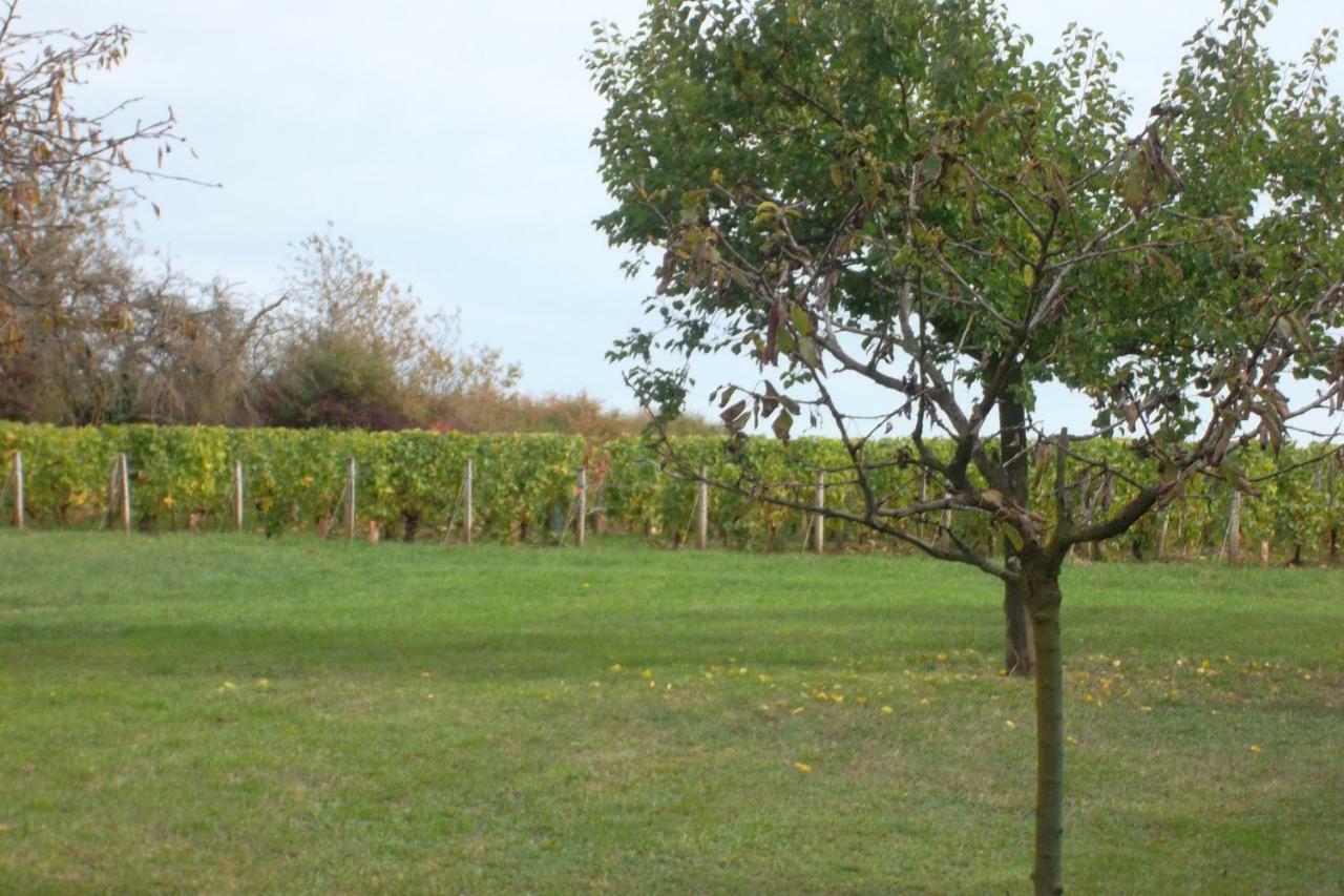 Bed and Breakfast Armalou Pouilly-sur-Loire Zewnętrze zdjęcie